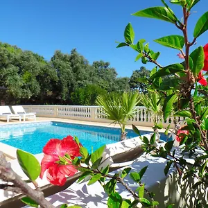 Bed & Breakfast Panoramic Paradise, Sao Bras de Alportel